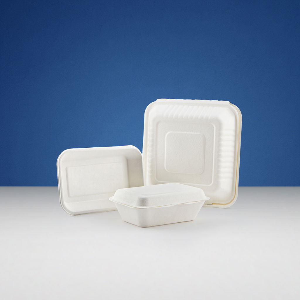 BIO-DEGRADABLE CONTAINERS - Hotpack Packaging