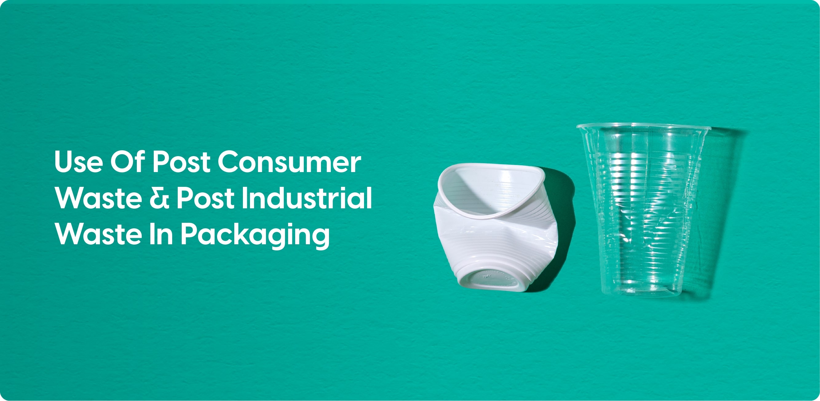 Disposable Food Packaging Products