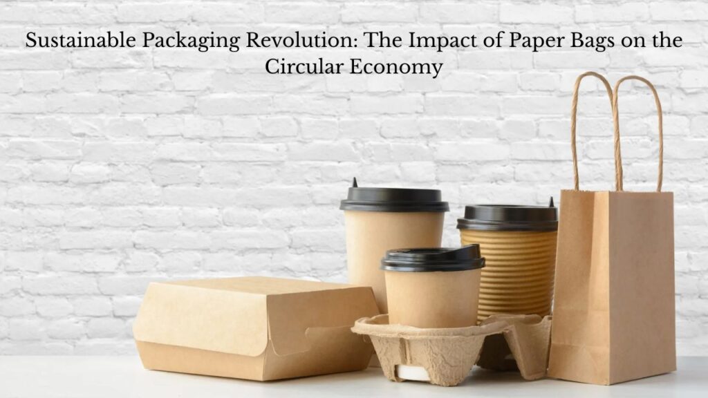 Sustainable Packaging Revolution: The Impact of Paper Bags on the Circular Economy